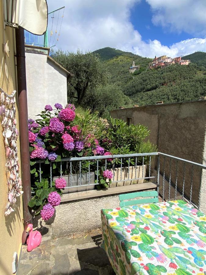 Le Case Della Lizza - Casa Blu Levanto Eksteriør billede